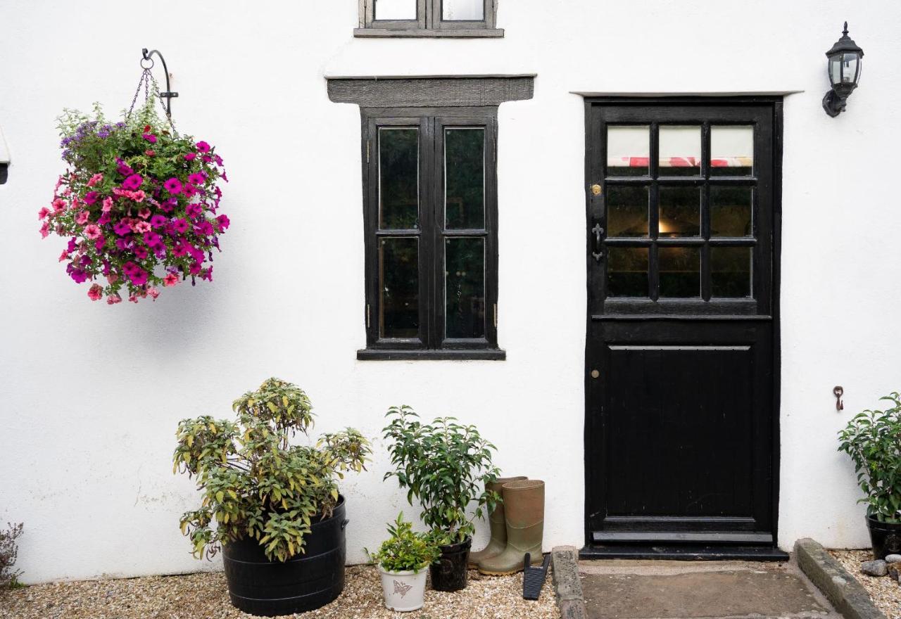 Woodview - Cosy 1840s In Chew Valley And Mendip Aonb * Compton Martin