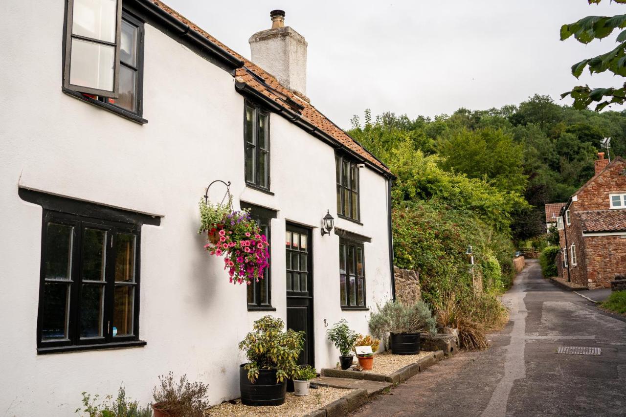 Casa vacanze Woodview - Cosy 1840s In Chew Valley And Mendip Aonb *