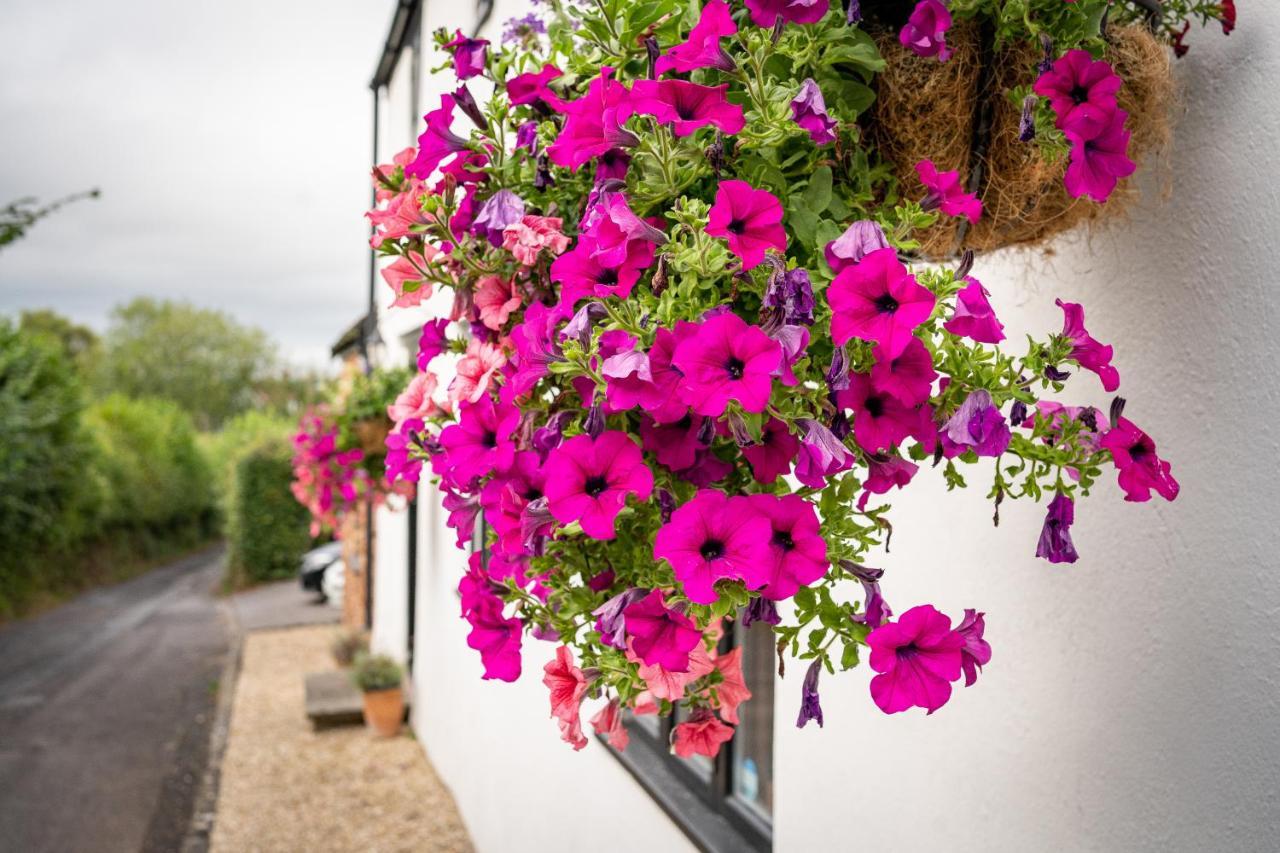 Woodview - Cosy 1840s In Chew Valley And Mendip Aonb * Compton Martin